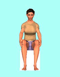 ���Ց̑����̇A���Ճo�����X�̑��Q