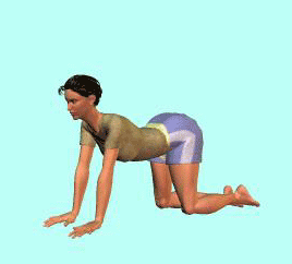 ���Ց̑����̇C��a�؃G�N�T�T�C�Y��